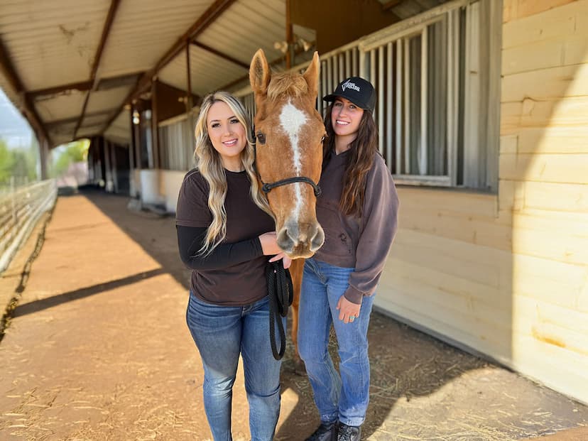 The Gifted Equine Partnership