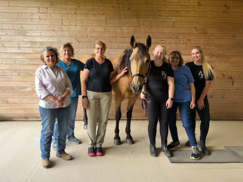 Equine Therapy & Training